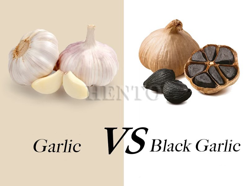 Black Garlic Fermentation Machine