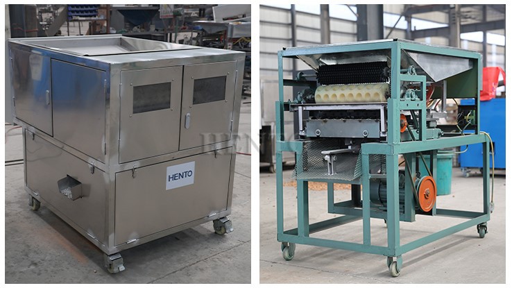 Macadamia Cutter Macadamia Cutter