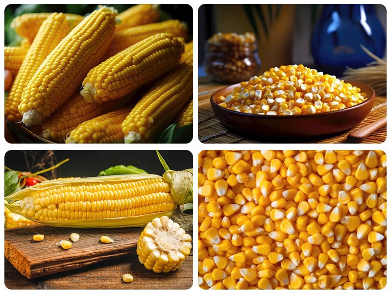 Corn Threshing Machine