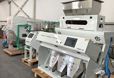 Color Sorting Machine