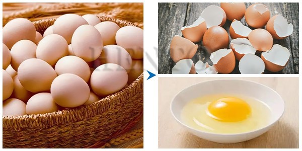 Egg Shell Separator Egg Shell Separator