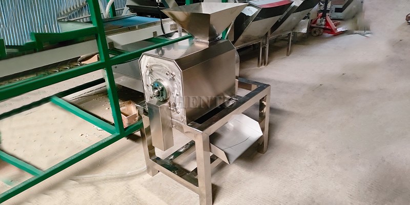 Mango Pulper Mango Pulper