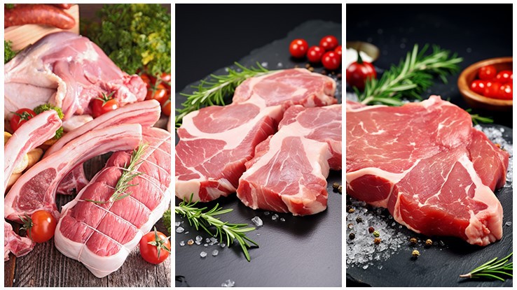 Auto Injector Syringe Auto Injector Syringe