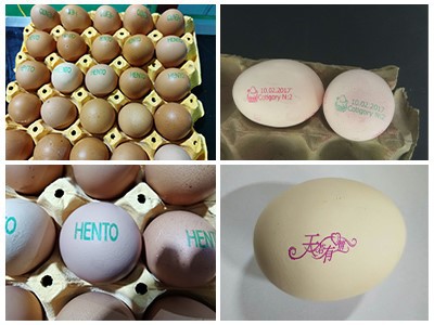 Egg Code Printer Egg Code Printer