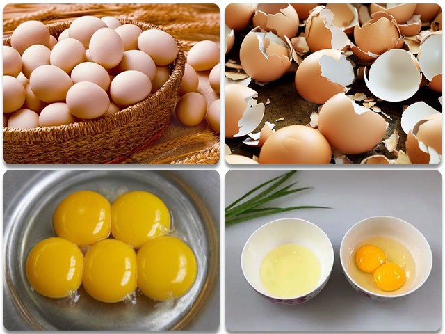 Egg Yolk Separator Egg Yolk Separator