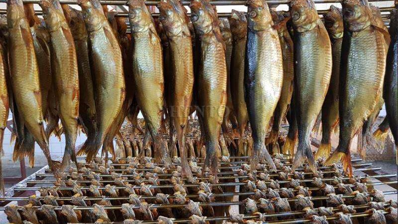 Meat Smoker Meat Smoker