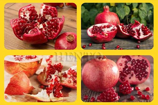 Pomegranate Seed Separation Machine