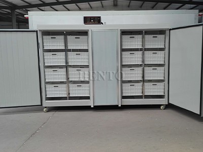 Mung Bean Sprout Machine