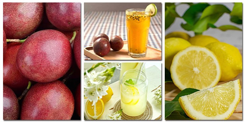 Lemon Juice Squeezer