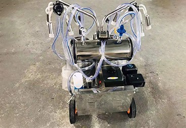 Milking Machine For Cows