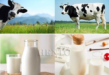 Soya Milking Machine