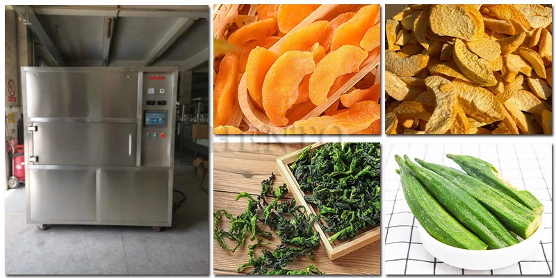 Vacuum Microwave Food Dryer