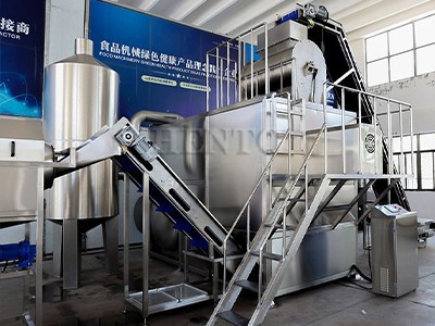 Carrot Peeler Machine