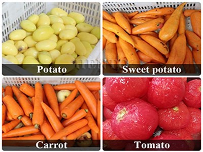 Potato Peeler Machine