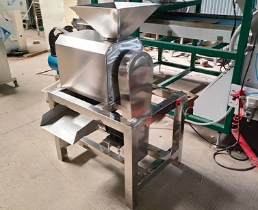 Lemon Pulper Machine