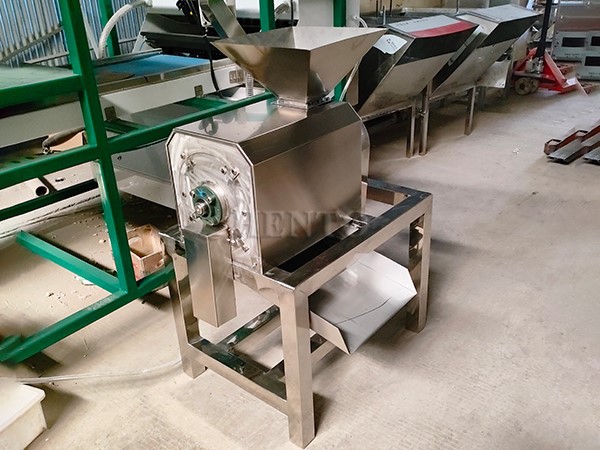 Fruit Pulper Machine
