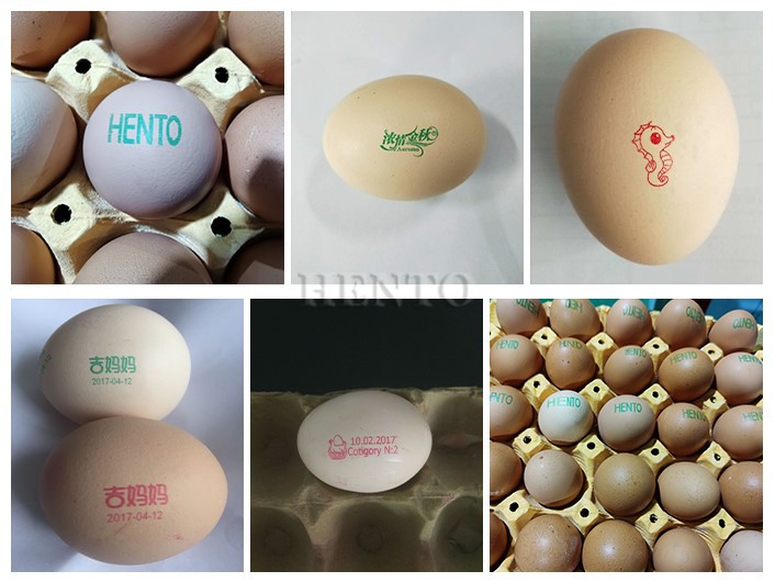 Egg Code Printer Egg Code Printer