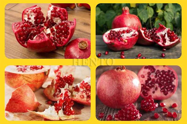 Pomegranate Seed Separation Machine