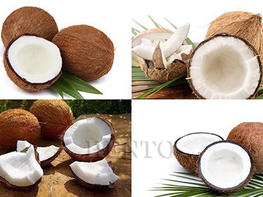 Coconut Cutting Machine Automatic Coconut Cutting Machine Automatic