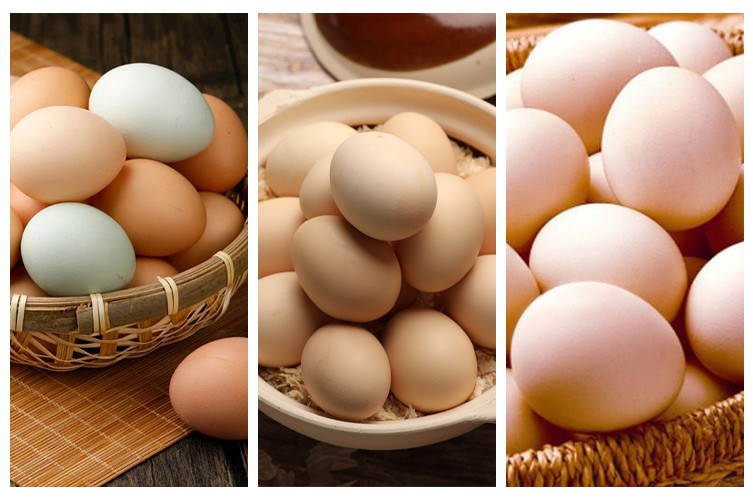 Egg Washing Machine Cleaner