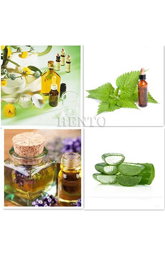 Subcritical extraction equipment