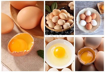 Egg Cracking Breaking Machine