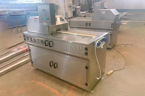 Aloe Vera Dicing Machine