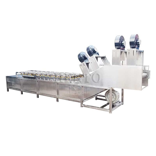 Vegetables Bubble Washing and Drying Machine