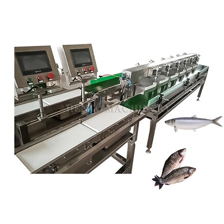 Weight Sorting Machine for Fish